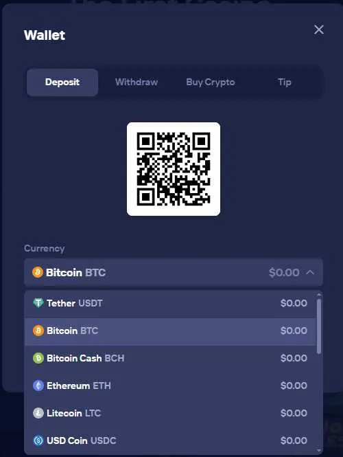 Duel.com Wallet showing Deposit tab with Bitcoin QR code and 6 cryptocurrencies (Tether, BTC, BCH, Ethereum, Litecoin, USD Coin)